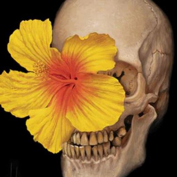 HI-FRUCTOSE Vol. 73 The New Contemporary Art Magazine - Picture 3 of 5